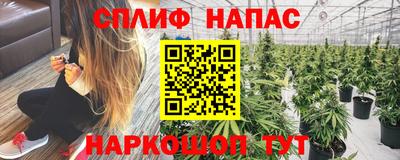 прущие крисы Краснодар