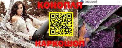 прущие крисы Краснодар